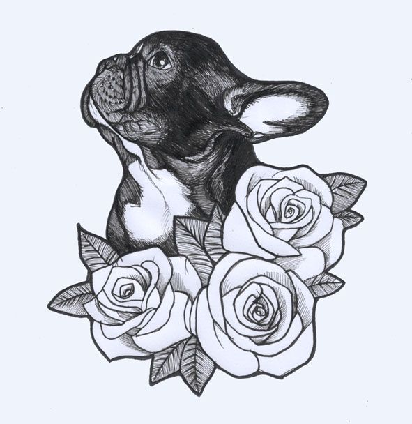 591x608 French Bulldog Sketch By Jeroen Teunen. Tattoo Design , Roses - Bulldog Sketch Images
