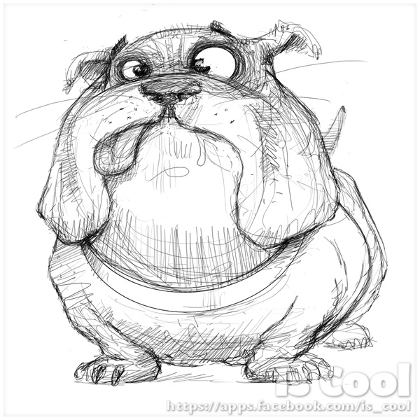 600x600 Bulldog - Bulldog Sketch Images