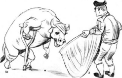 247x159 Bullfighting Animated Images, Gifs, Pictures Amp Animations - Bullfight Sketch