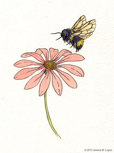 400x534 Bumble Bee Jessica M. Lopez - Bumble Bee Sketch