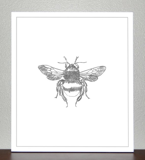570x629 Bumble Bee Pencil Sketch Print Etsy - Bumble Bee Sketch