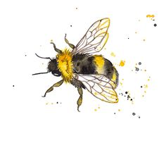 236x200 Honeybee Sketch For Cap Idei Dlia Tatuirovok - Bumble Bee Sketch
