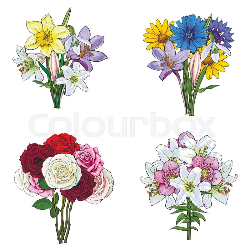 800x800 Bouquets, Bunches Of Lily, Rose, Daffodil, Cornflower, Daisy, Wild - Bunch Of Flowers Sketch