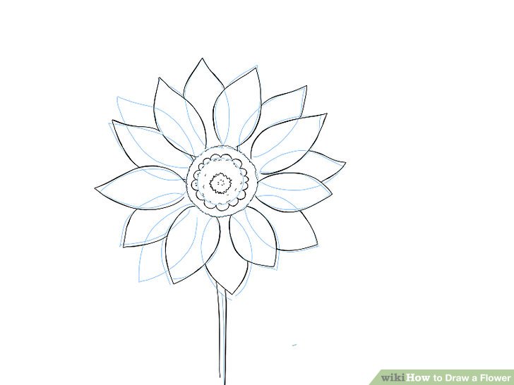 728x546 9 Easy Ways To Draw A Flower - Bunch Of Flowers Sketch