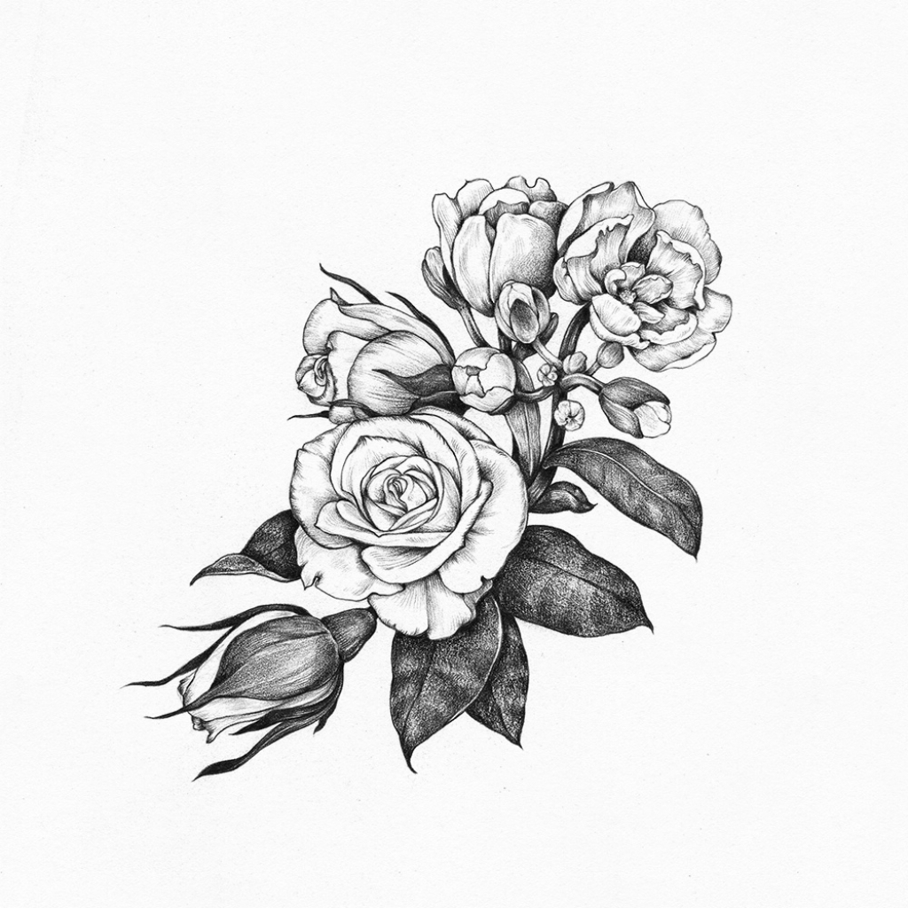 Bunch Of Roses Sketch at PaintingValley.com | Explore collection of ...