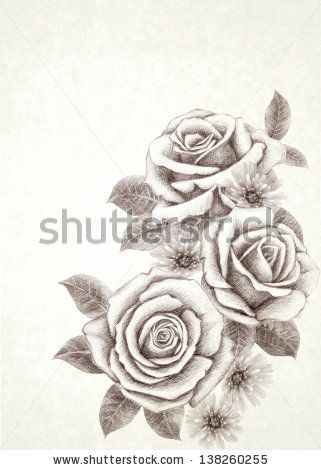 321x470 Drawn Rose Rose Bouquet - Bunch Of Roses Sketch