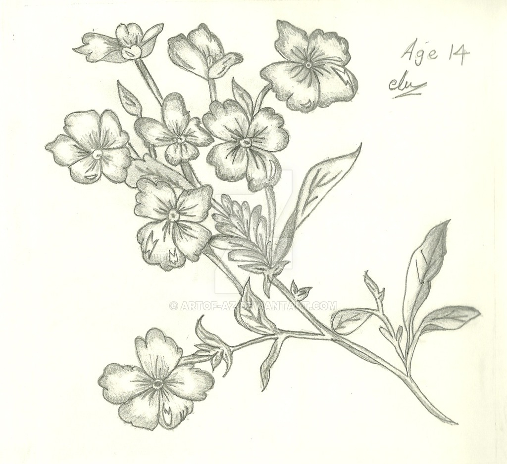 1024x939 Pencil Sketch For Rose And Other Flower Bunch Flower Bouquet - Bunch Of Roses Sketch