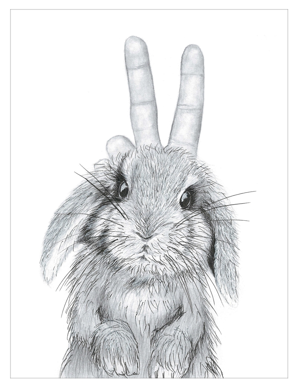 1000x1296 Bunny Ears Lenita Pepa - Bunny Ears Sketch