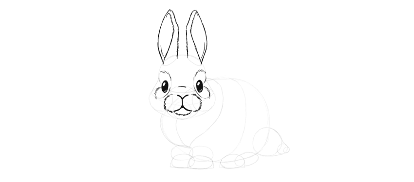 850x375 How To Draw A Cute Bunny Step By Step - Bunny Ears Sketch