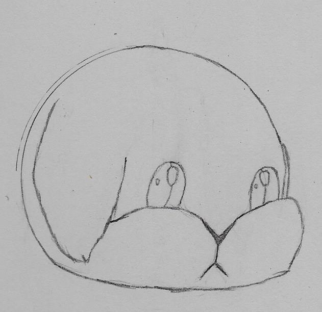 631x612 Bunny Face Sketch By Sumthesmeargle - Bunny Face Sketch