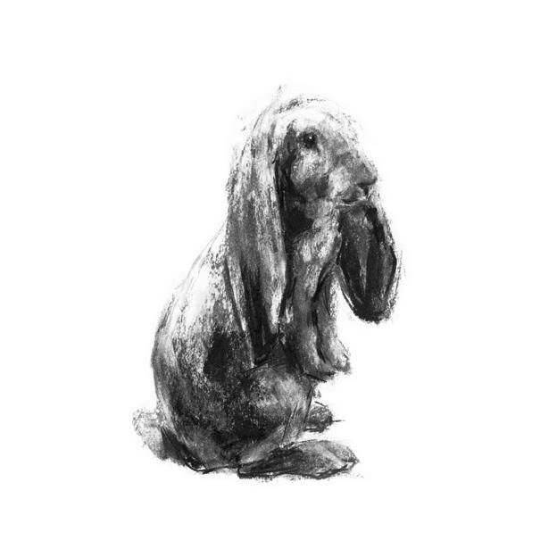 624x624 The Bright Bunny Rabbit Sketch Print - Bunny Sketch