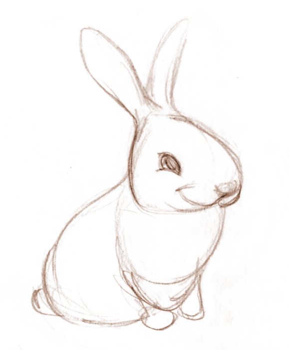 579x703 Second Cup Of Coffee.... Cute Bunny - Bunny Sketch Images