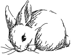 300x230 Bunny Sketch Urban Threads Unique And Awesome Embroidery Designs - Bunny Sketch Images
