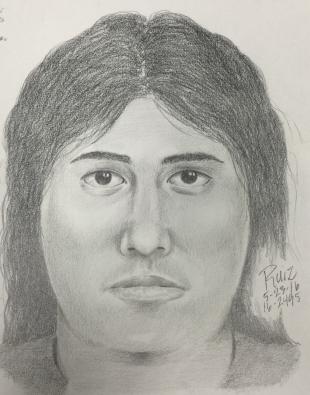 310x395 Update Sketch Shows Would Be Crescent Park Burglar News Palo - Burglar Sketch