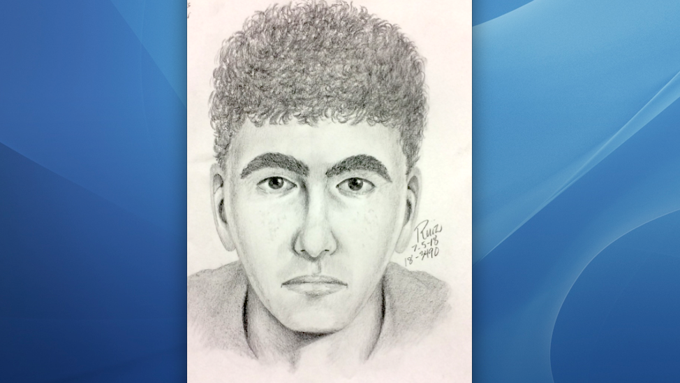 974x548 Burglar Sketch - Burglar Sketch