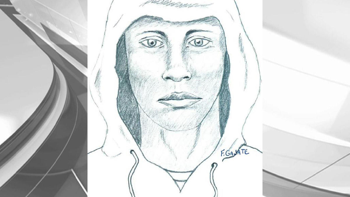 1200x675 Bso Releases Sketch Of Deerfield Beach Armed Burglar - Burglar Sketch