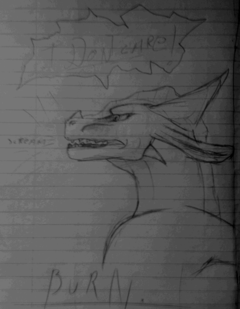 789x1012 Burn Sketch By Splash Q - Burn Sketch