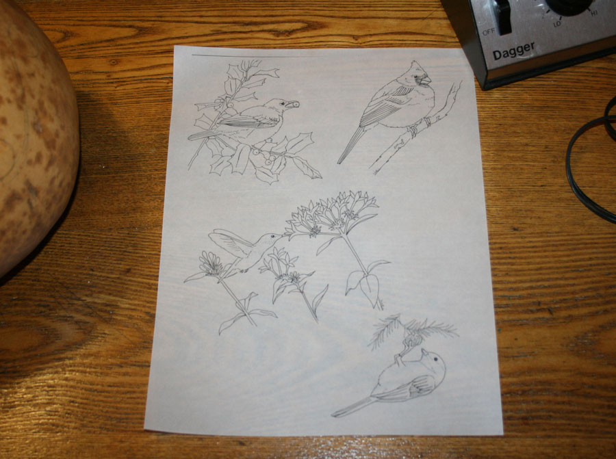 900x671 Pyrography Burning Art Onto A Hard Shell Gourd - Burn Sketch