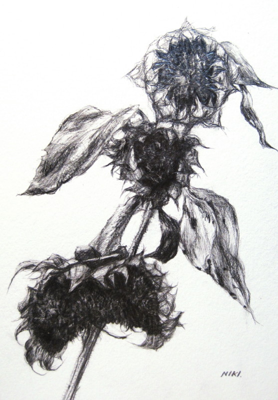 557x800 Flower In The Burning House 5 By Nikiando - Burning House Sketch