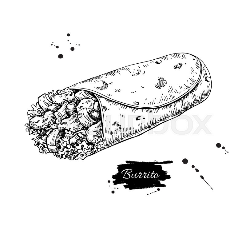 800x800 Burrito Drawing. Traditional Mexican Food Vector Illustration - Burrito Sketch