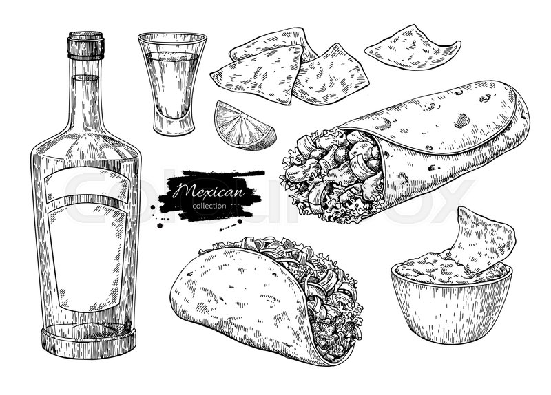 800x574 Mexican Cuisines Drawing. Traditional Food And Drink Vector - Burrito Sketch