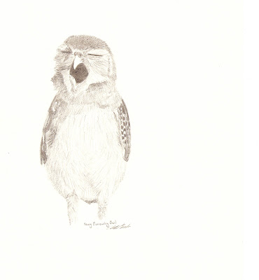 370x400 Earth House Hold Burrowing Owls - Burrowing Owl Sketch
