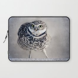 Burrowing Owl Sketch at PaintingValley.com | Explore collection of ...