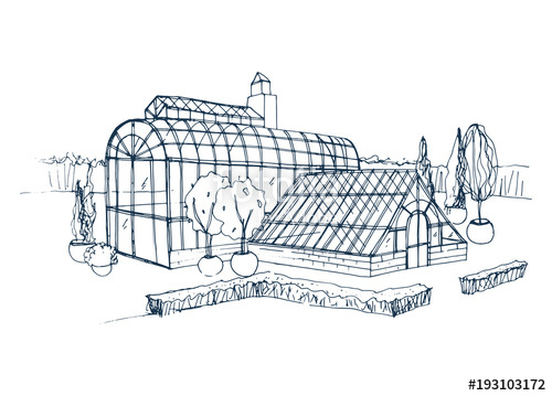 500x359 Freehand Sketch Of Exterior Of Exotic Botanical Garden Surrounded - Bushes Sketch