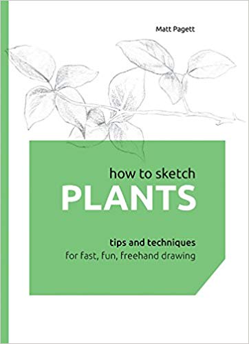 362x499 How To Sketch Plants Tips And Techniques For Fast, Fun, Freehand - Bushes Sketch