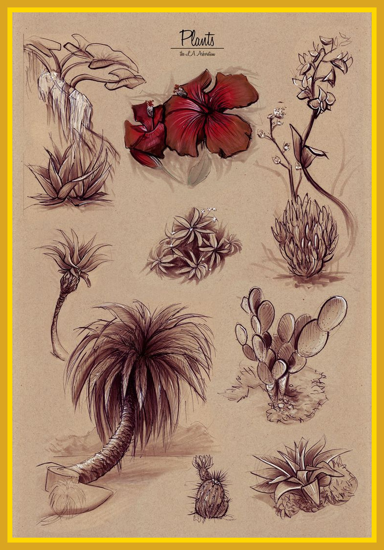 786x1125 Inspiring Best How To Draw Realistic Trees Plants Bushes And Rocks - Bushes Sketch