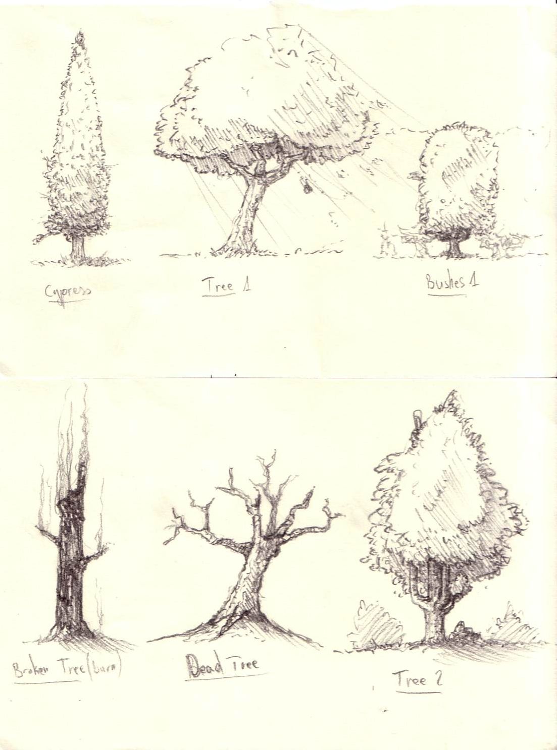 1103x1487 Trees And Bushes Sketches Drawings Sketches - Bushes Sketch