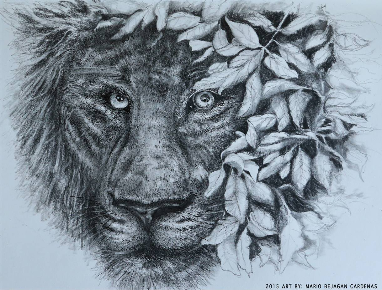 1218x927 Mariocardenas Sketches - Bushes Sketch