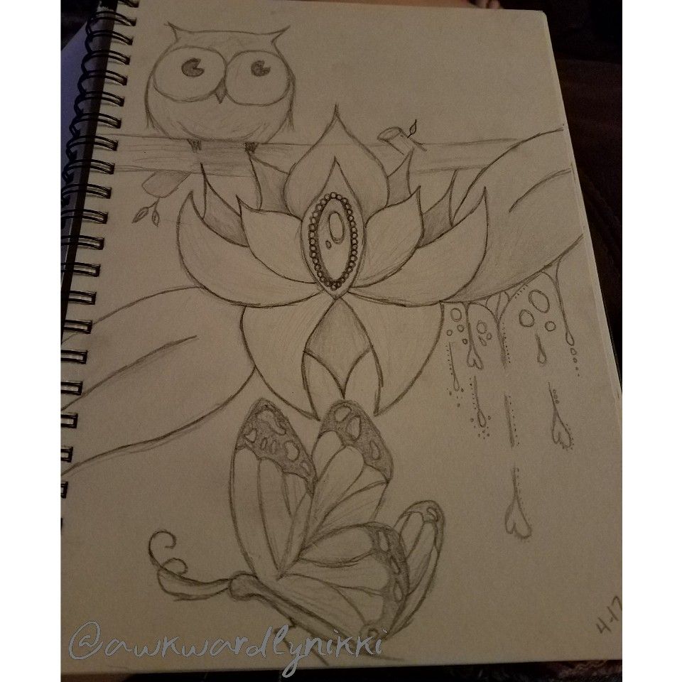 960x960 Owl Lotus Butter Sketch Drawing @awkwardlynikki Instagram @ - Butter Sketch