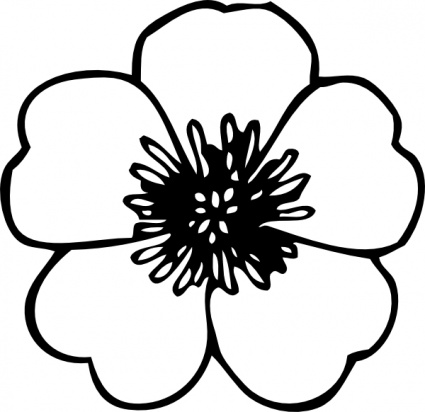 425x412 Free Download Of Buttercup Flower Clip Art Vector Graphic - Buttercup Flower Sketch