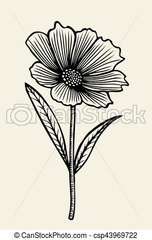 299x470 Hand Drawn Sketch Flower. Vector Illustration. - Buttercup Flower Sketch