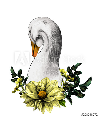 424x500 Head Of A Goose With A Wreath In The Form Of A Frame From The Bottom - Buttercup Flower Sketch