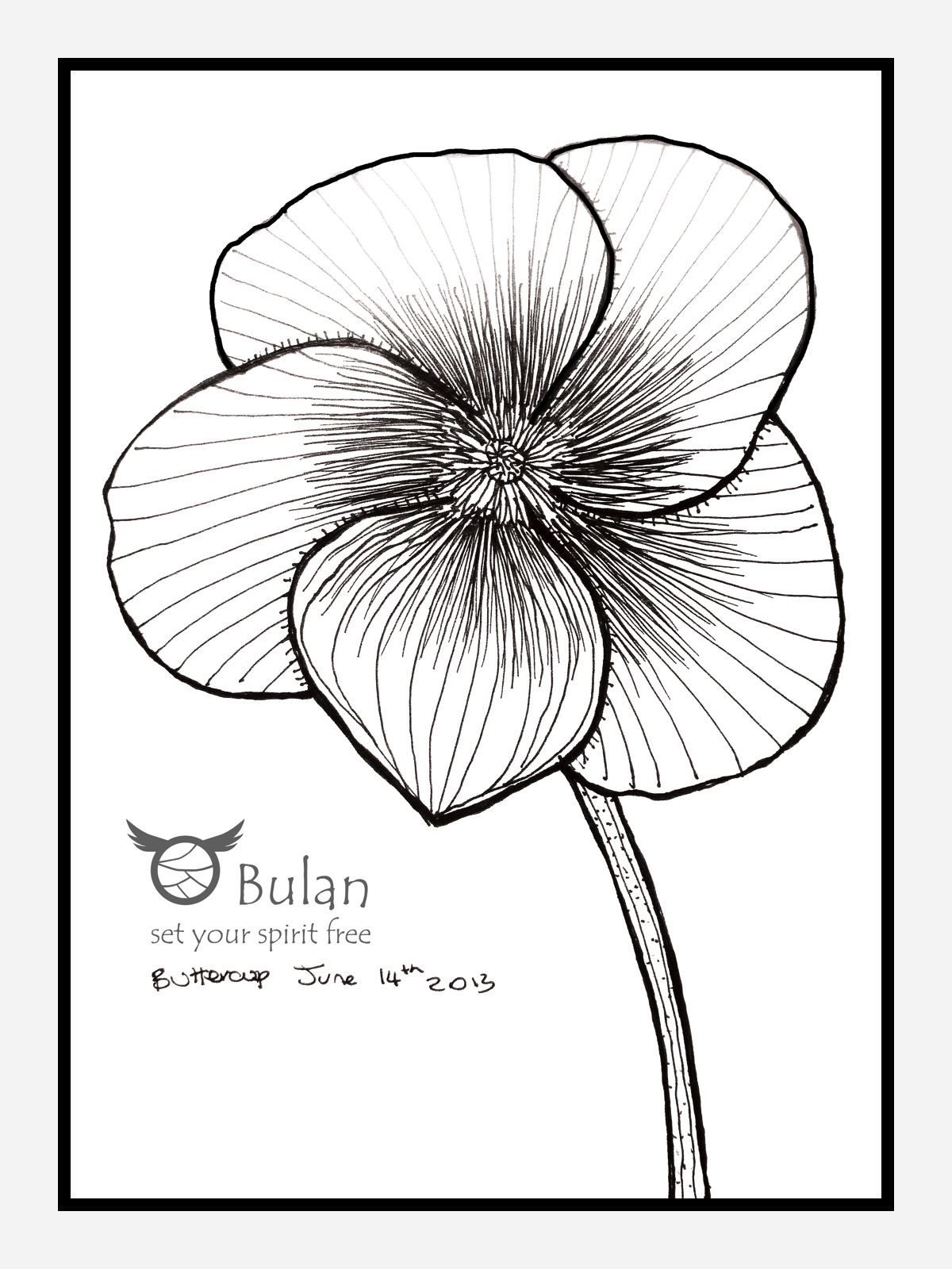 1200x1600 Sketch Of The Day No 55 Buttercup Tattoo - Buttercup Sketch
