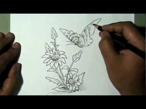 480x360 How To Draw Beautiful Flower And Butterfly Yzarts Yzarts - Butterfly And Flower Sketch