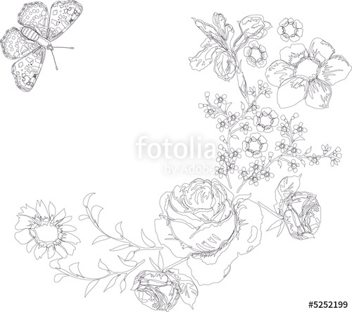 500x443 Butterflies And Flowers Sketch Stock Photo And Royalty Free - Butterfly And Flower Sketch