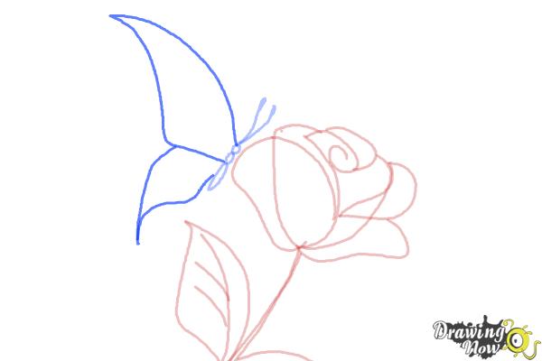600x400 How To Draw A Butterfly On A Flower - Butterfly Flower Sketch