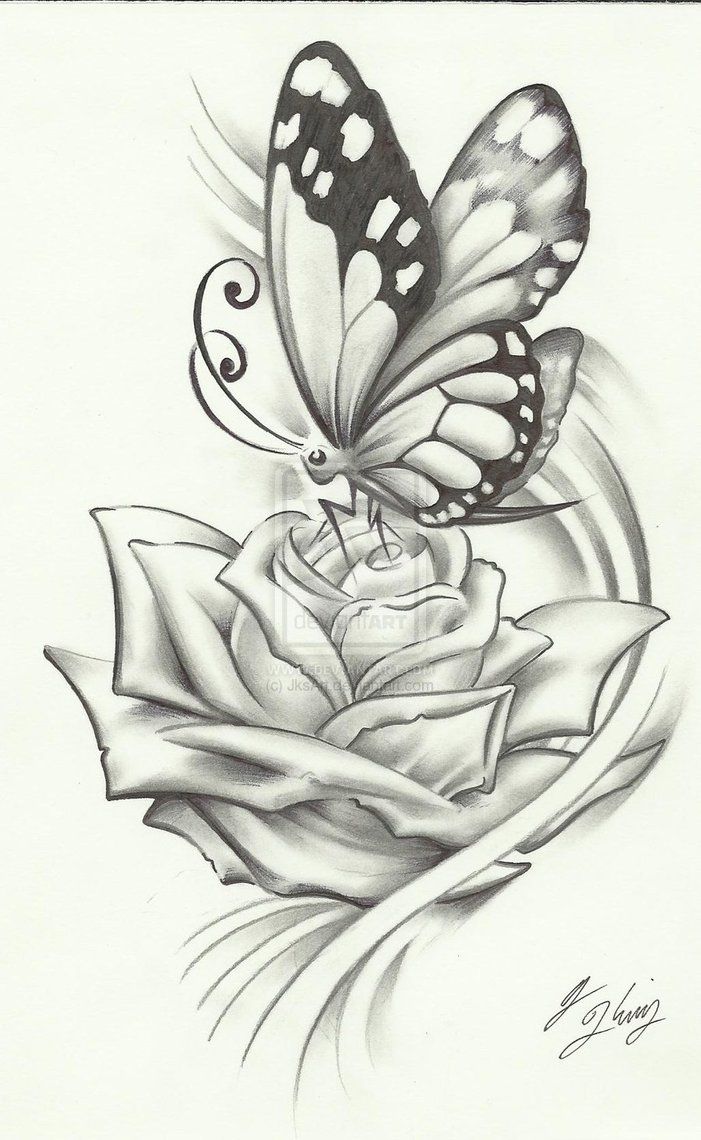 701x1140 Butterfly Pencil Drawing, If It Were A Dragonfly It Would Be - Butterfly Flower Sketch