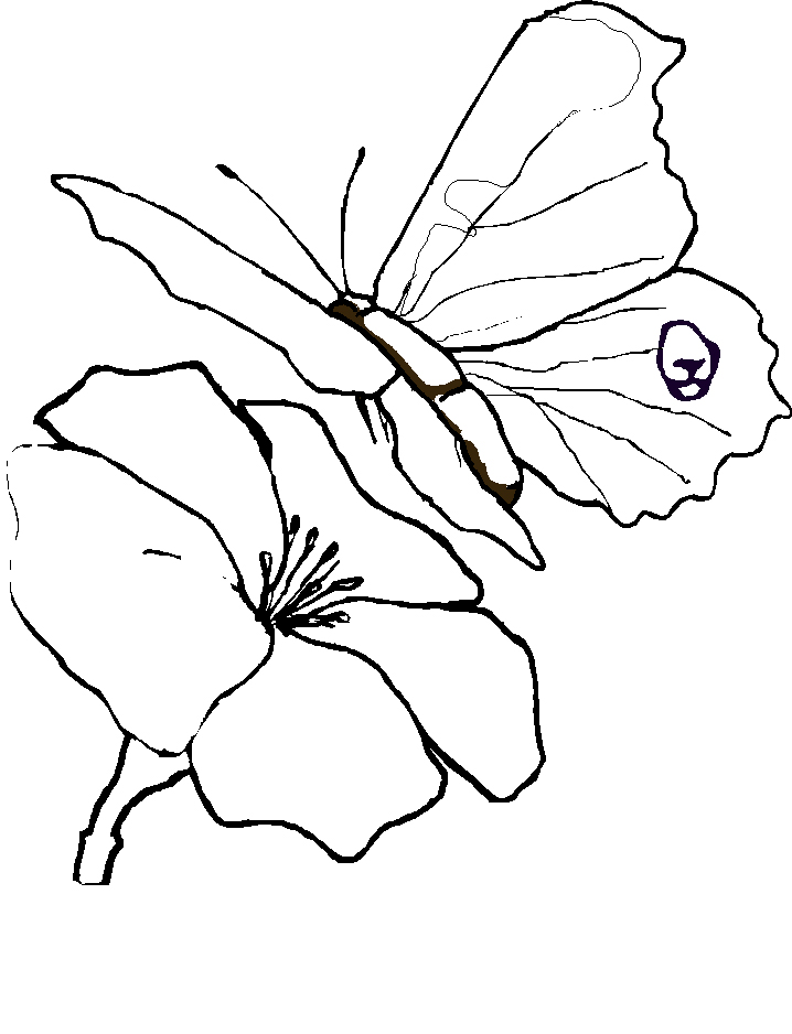 718x938 Drawn Butterfly Flower Drawing - Butterfly On A Flower Sketch