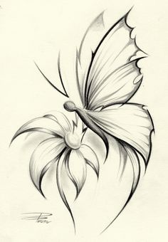 236x340 Original Design Of A Large Butterfly... Things I Like - Butterfly On A Flower Sketch