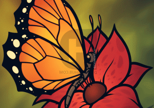 300x210 Butterfly And Flower Drawing Butterfly And Flower Drawing - Butterfly On A Flower Sketch