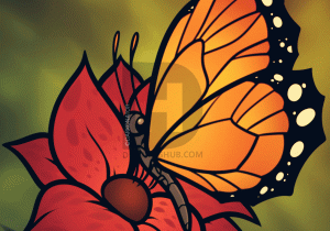 300x210 Butterfly On Flower Sketch - Butterfly On Flower Sketch