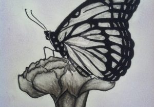 Butterfly On Flower Sketch at PaintingValley.com | Explore collection ...