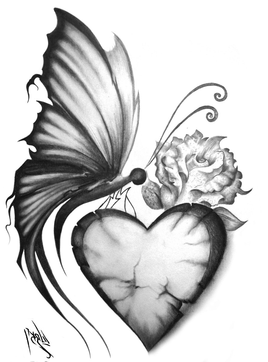 900x1212 Pencil Flower Drawing Butterfly Pretty Www - Butterfly On Flower Sketch