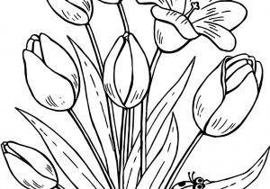 300x210 Butterfly And Flower Drawing Pictures Butterfly And Flower Drawing - Butterfly On Flower Sketch