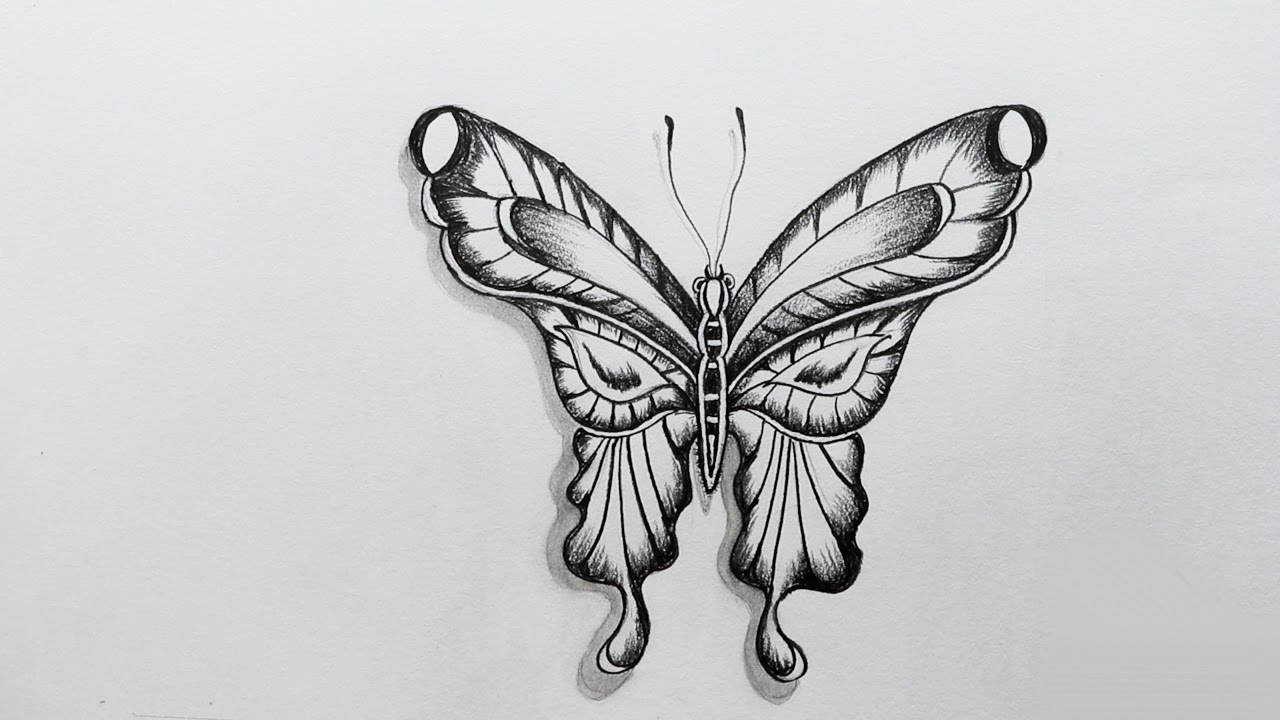 Butterfly Outline Sketch at PaintingValley.com | Explore collection of