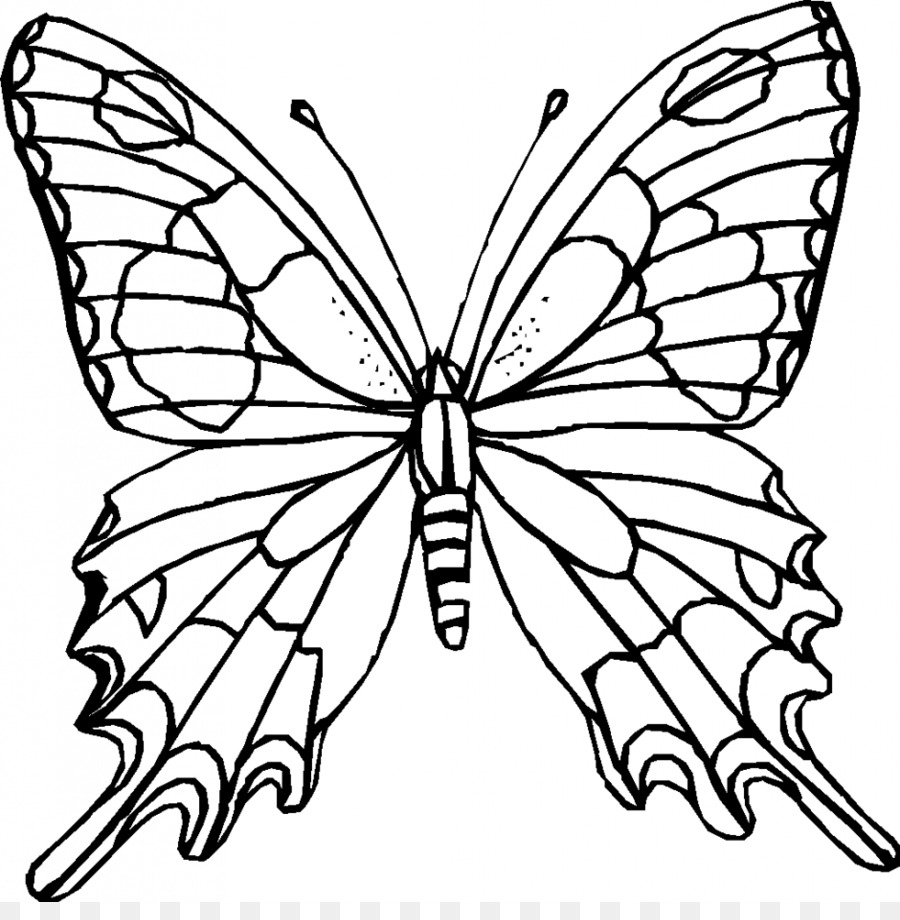 900x920 Monarch Butterfly Outline Coloring Book Clip Art - Butterfly Outline Sketch